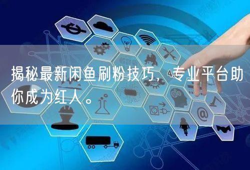 揭秘最新闲鱼刷粉技巧，专业平台助你成为红人。