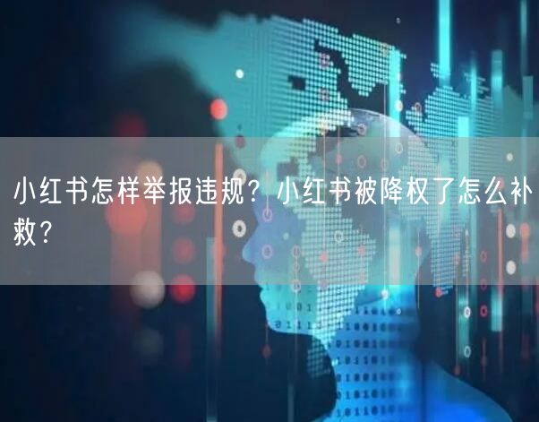 小红书怎样举报违规？小红书被降权了怎么补