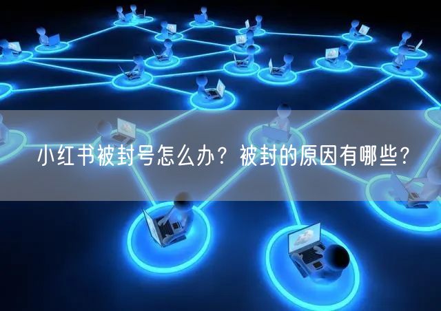 小红书被封号怎么办？被封的原因有哪些？