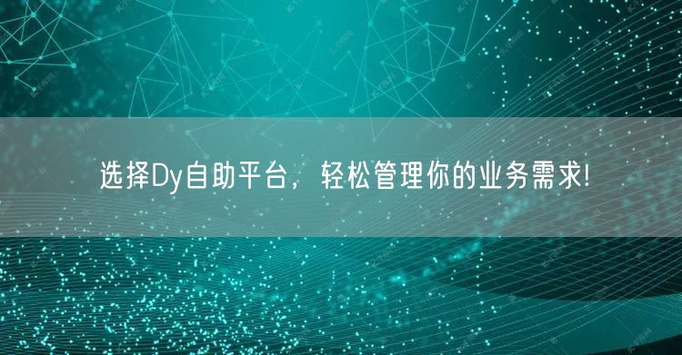 选择Dy自助平台，轻松管理你的业务需求!