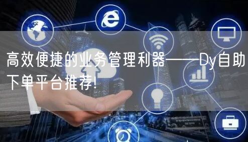高效便捷的业务管理利器——Dy自助下单平
