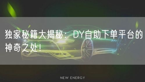 独家秘籍大揭秘：DY自助下单平台的神奇之