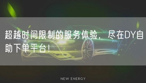 超越时间限制的服务体验，尽在DY自助下单