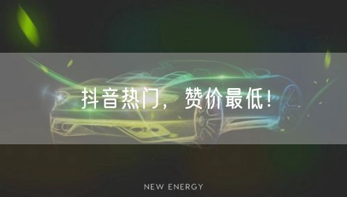 抖音热门，赞价最低！