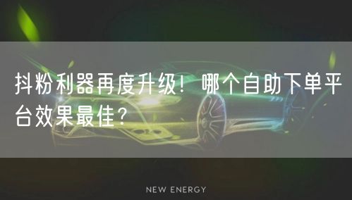 抖粉利器再度升级！哪个自助下单平台效果最佳？