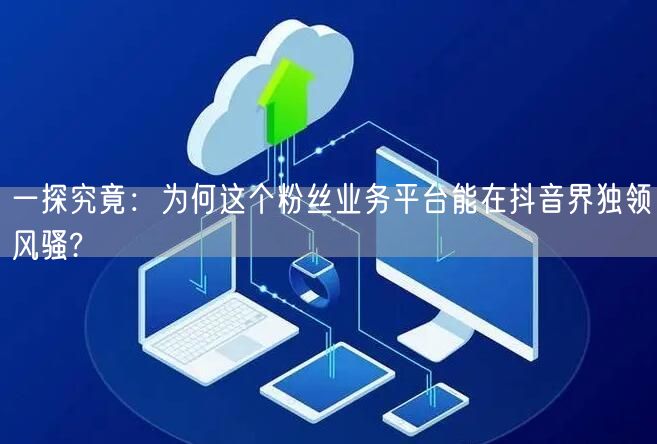 一探究竟：为何这个粉丝业务平台能在抖音界独领风骚?