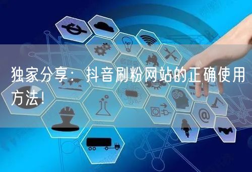 独家分享：抖音刷粉网站的正确使用方法！