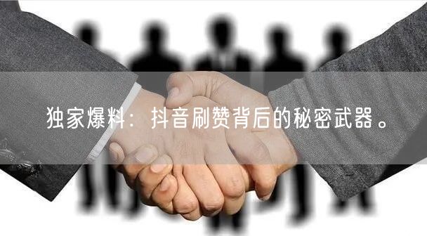 独家爆料：抖音刷赞背后的秘密武器。