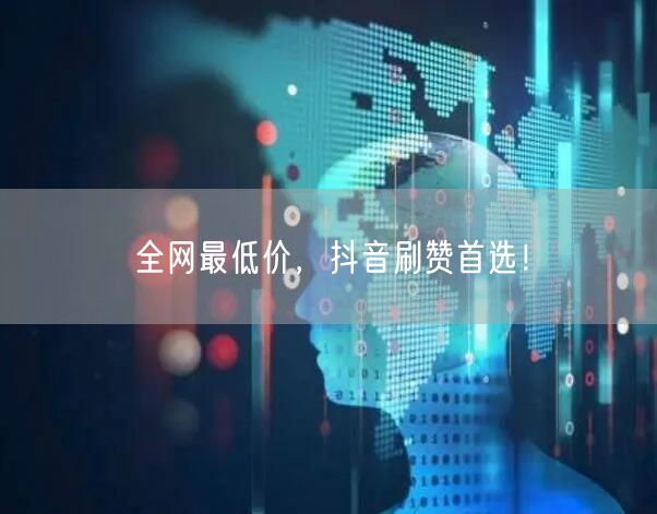全网最低价，抖音刷赞首选！