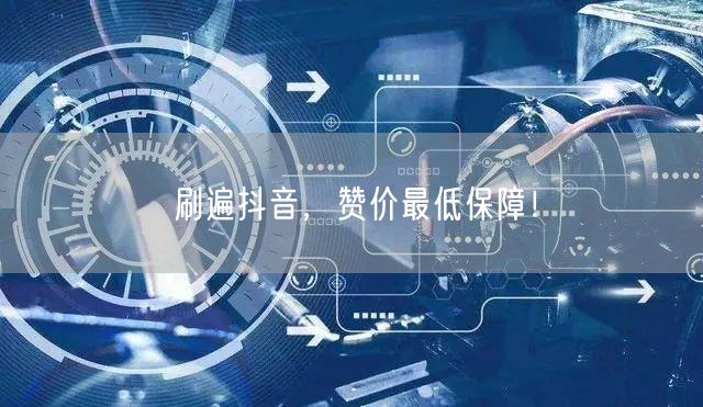 刷遍抖音，赞价最低保障！