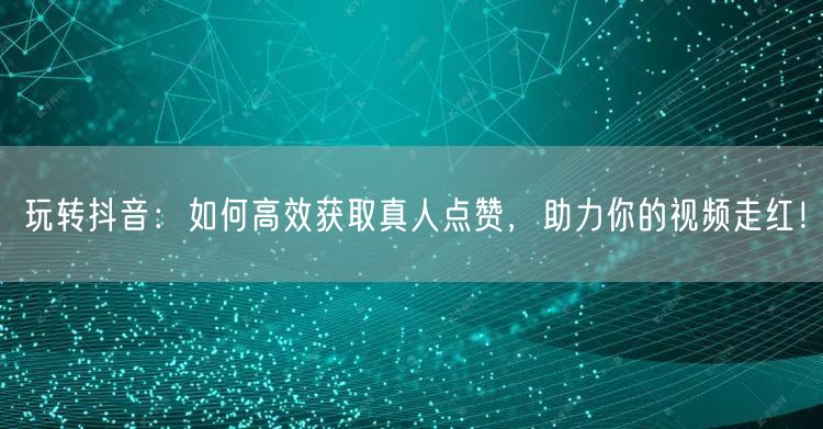 玩转抖音：如何高效获取真人点赞，助力你的视频走红！