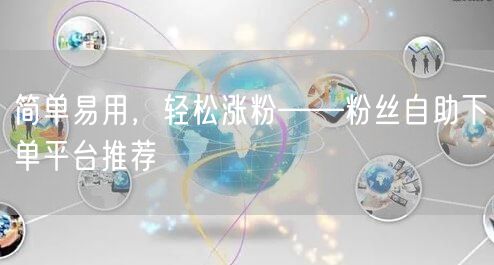 简单易用，轻松涨粉——粉丝自助下单平台推