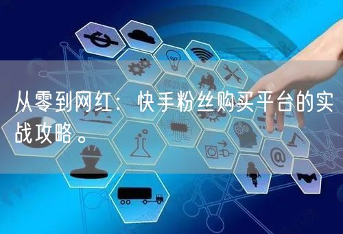 从零到网红：快手粉丝购买平台的实战攻略。