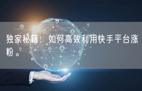 独家秘籍：如何高效利用快手平台涨粉。