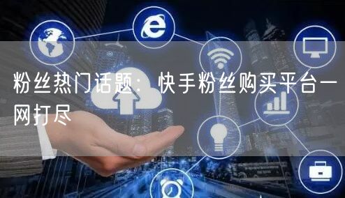 粉丝热门话题：快手粉丝购买平台一网打尽
