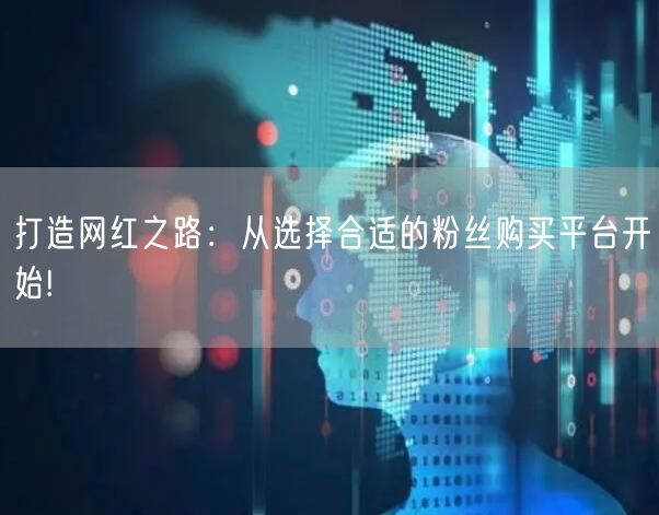 打造网红之路：从选择合适的粉丝购买平台开始!