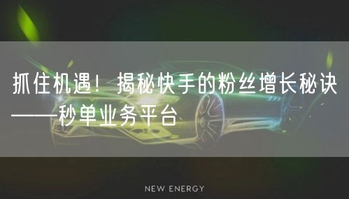 抓住机遇！揭秘快手的粉丝增长秘诀——秒单业务平台