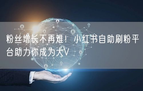 粉丝增长不再难！小红书自助刷粉平台助力你成为大V