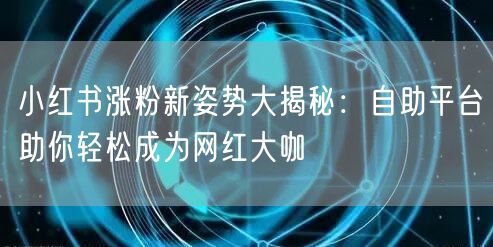 小红书涨粉新姿势大揭秘：自助平台助你轻松成为网红大咖