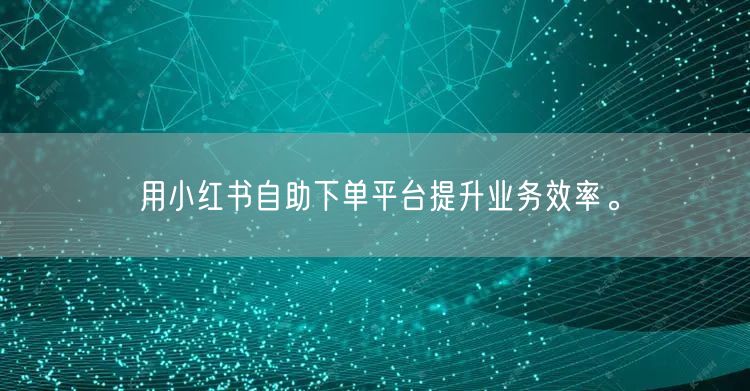 用小红书自助下单平台提升业务效率。