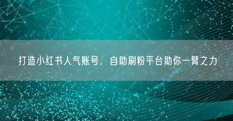 打造小红书人气账号，自助刷粉平台助你一臂之力