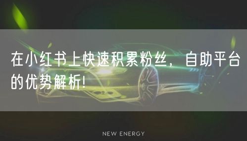在小红书上快速积累粉丝，自助平台的优势解析!