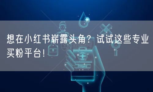 想在小红书崭露头角？试试这些专业买粉平台！