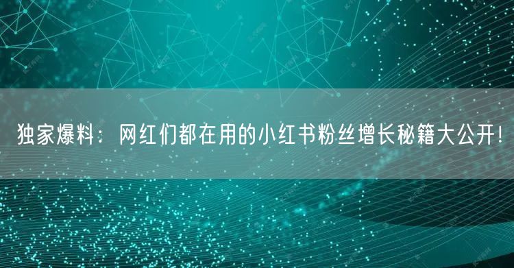 独家爆料：网红们都在用的小红书粉丝增长秘籍大公开！