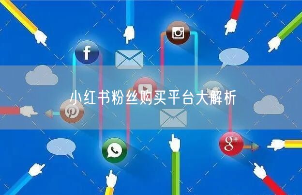 小红书粉丝购买平台大解析