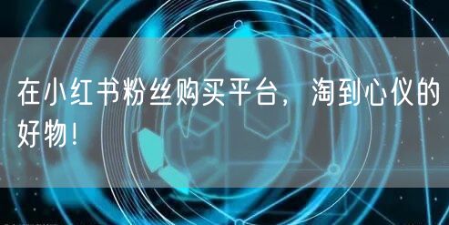 在小红书粉丝购买平台，淘到心仪的好物！
