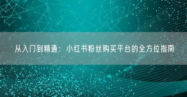 从入门到精通：小红书粉丝购买平台的全方位指南