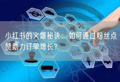 小红书的火爆秘诀：如何通过粉丝点赞助力订单增长？