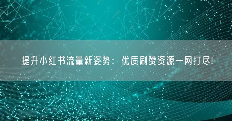 提升小红书流量新姿势：优质刷赞资源一网打尽!
