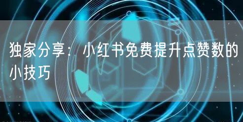 独家分享：小红书免费提升点赞数的小技巧