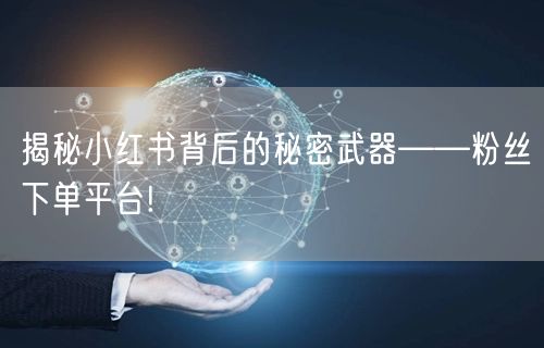 揭秘小红书背后的秘密武器——粉丝下单平台!