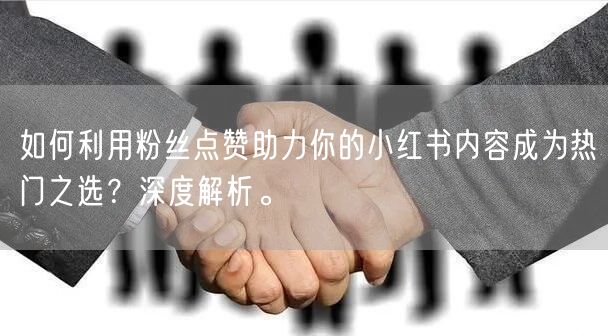 如何利用粉丝点赞助力你的小红书内容成为热