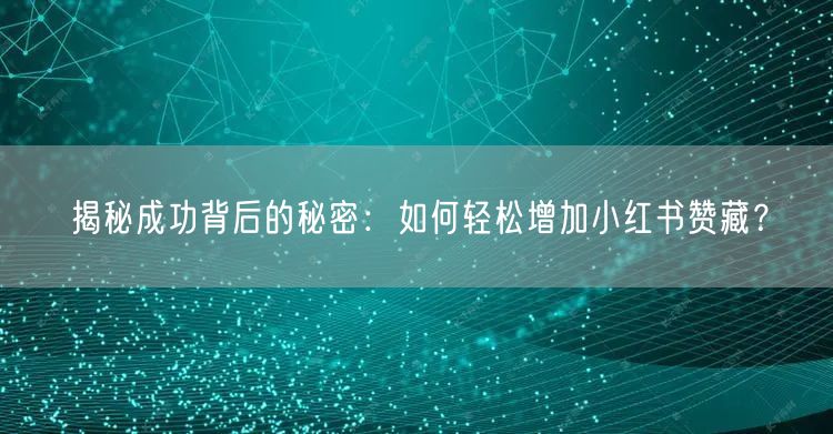 揭秘成功背后的秘密：如何轻松增加小红书赞藏？