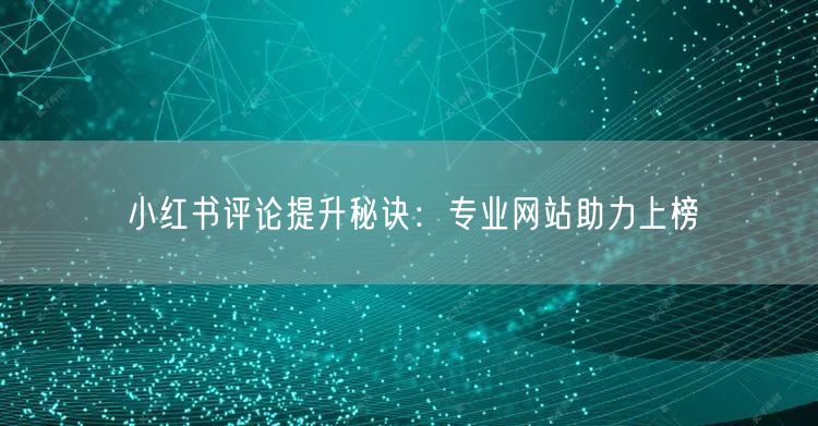 小红书评论提升秘诀：专业网站助力上榜