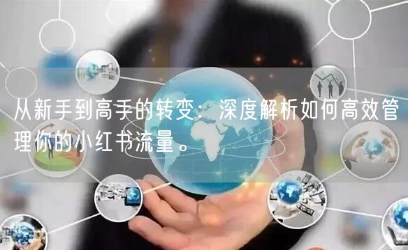 从新手到高手的转变：深度解析如何高效管理