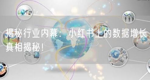 揭秘行业内幕：小红书上的数据增长真相揭秘！