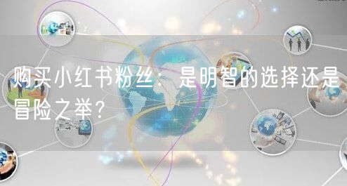 购买小红书粉丝：是明智的选择还是冒险之举？