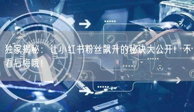 独家揭秘：让小红书粉丝飙升的秘诀大公开！不看后悔哦！