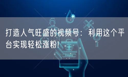 打造人气旺盛的视频号：利用这个平台实现轻