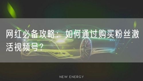 网红必备攻略：如何通过购买粉丝激活视频号