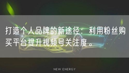 打造个人品牌的新途径：利用粉丝购买平台提