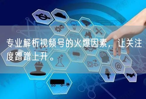 专业解析视频号的火爆因素，让关注度蹭蹭上升。