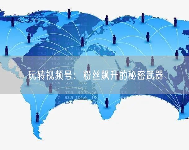 玩转视频号：粉丝飙升的秘密武器