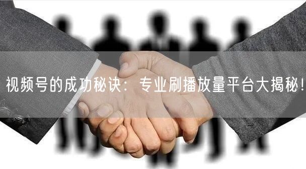 视频号的成功秘诀：专业刷播放量平台大揭秘！