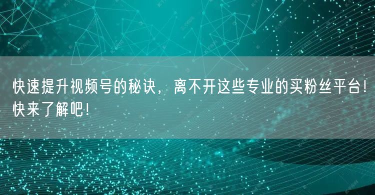 快速提升视频号的秘诀，离不开这些专业的买粉丝平台！快来了解吧