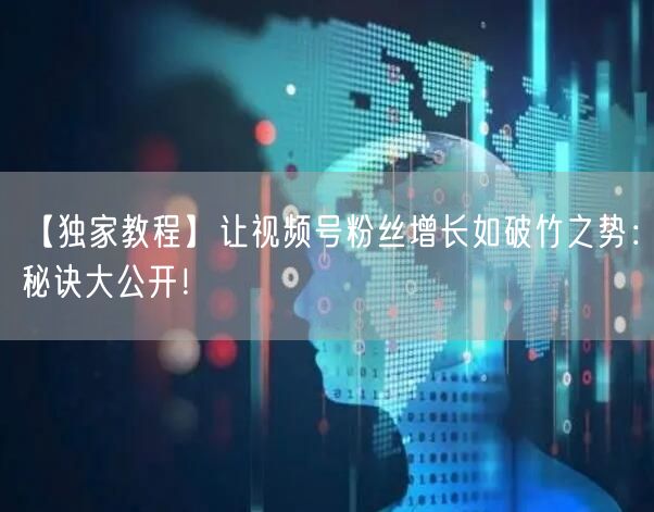 【独家教程】让视频号粉丝增长如破竹之势：秘诀大公开！